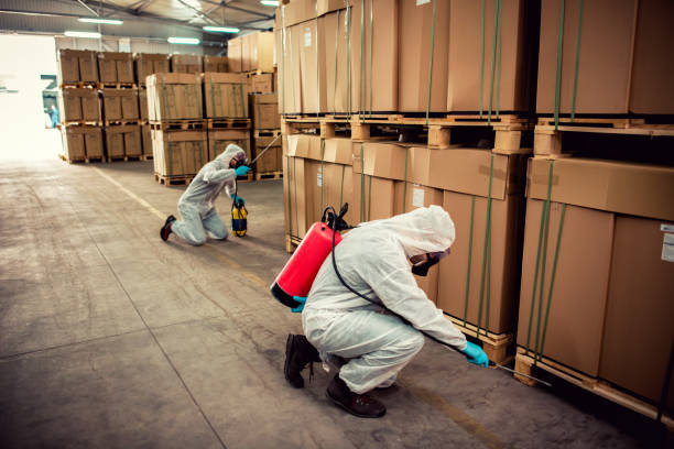 Best Wasp Removal Services  in Houston, PA
