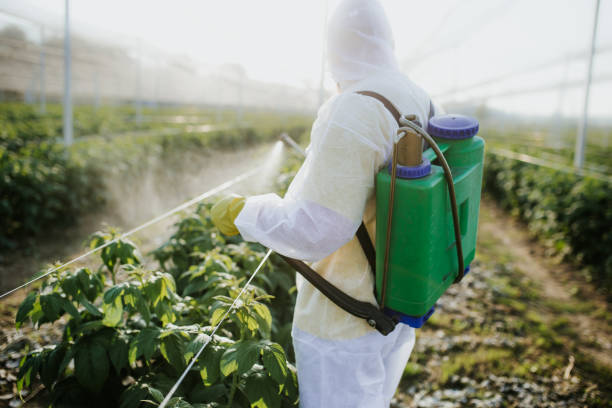 Houston, PA Pest Control Company